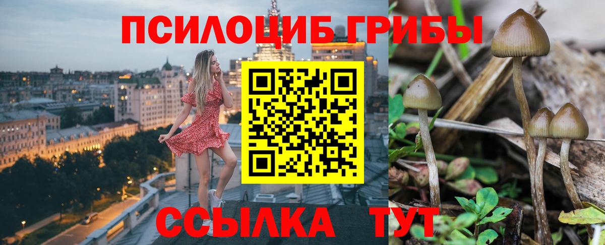 Мирный  Псилоцибиновые грибы прущие грибы  Галлюциногенные грибы мухоморы  Вход с VPN 